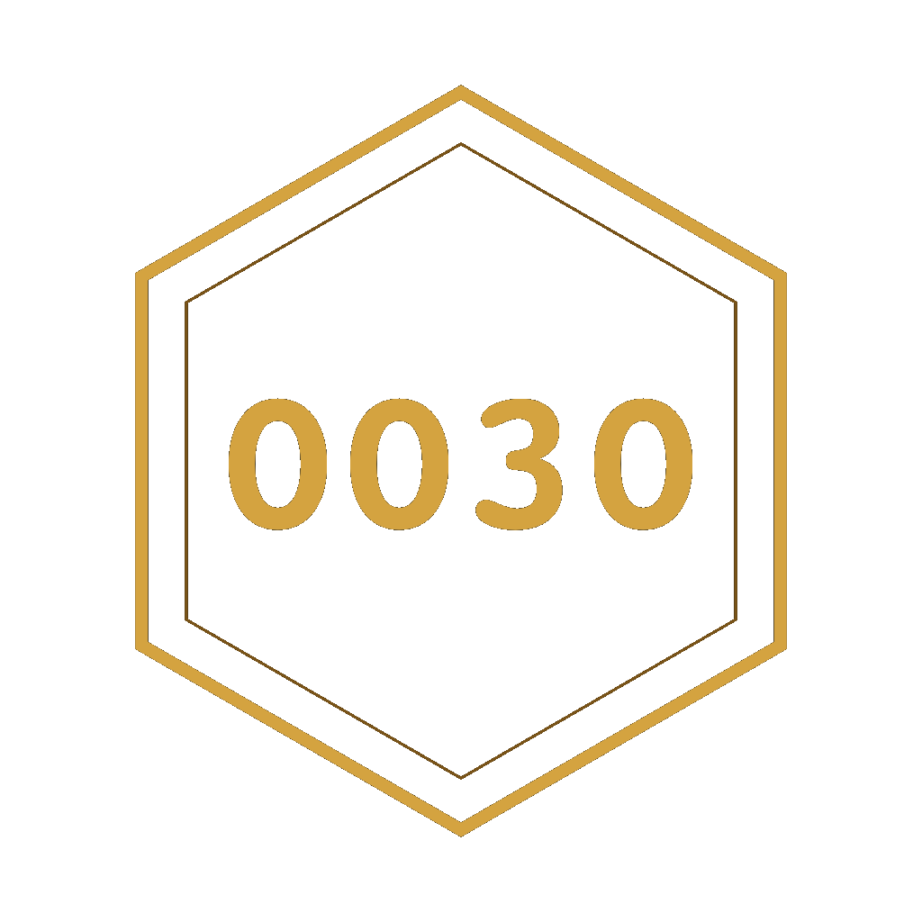 0030 Payments